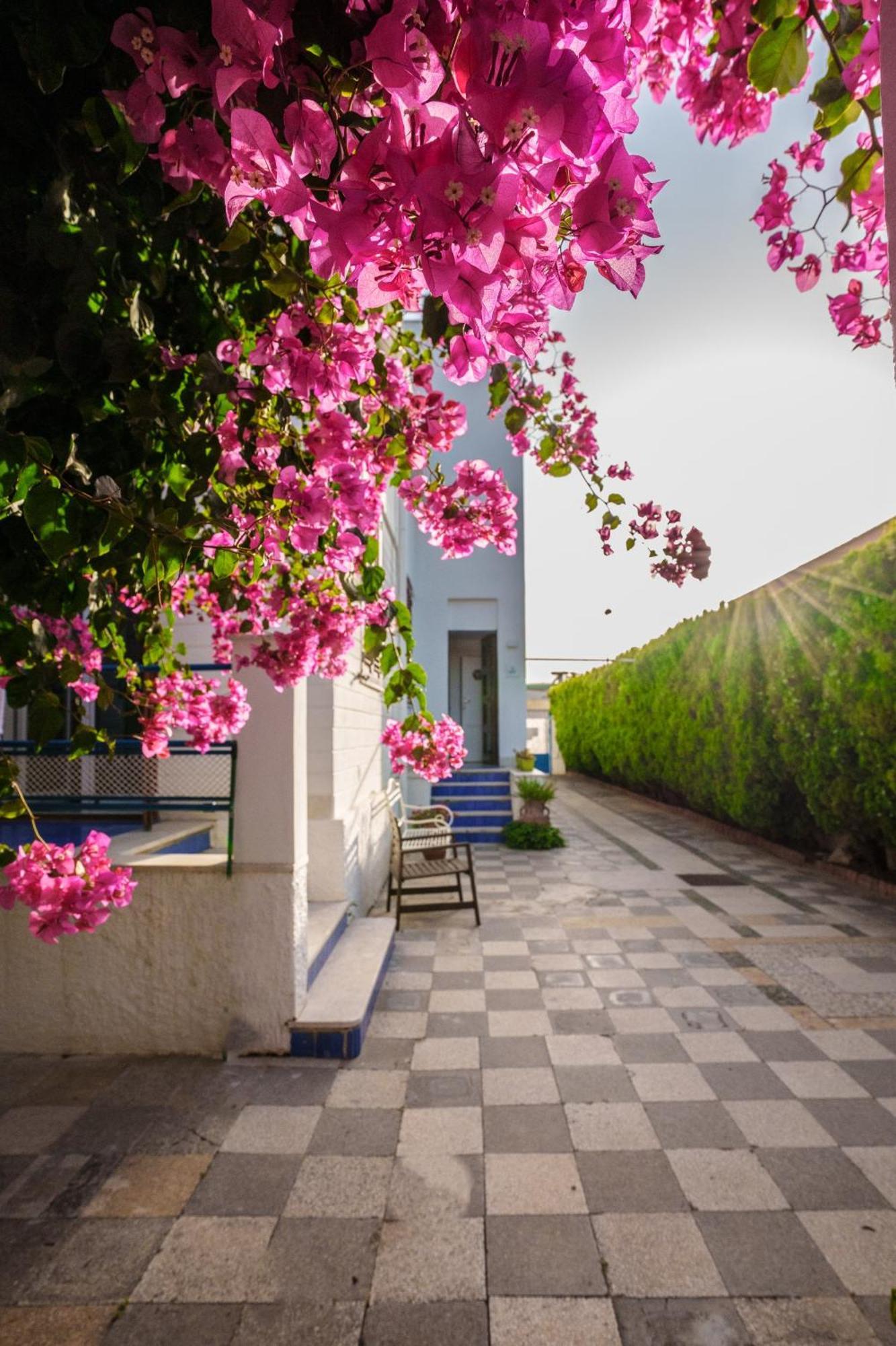 Le Vele Mondello, Villa A Due Passi Dal Mare Ngoại thất bức ảnh